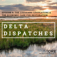 The Louisiana Legislature  the Economic Case for Restoration 
