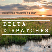 Volunteering to Restore the Coast