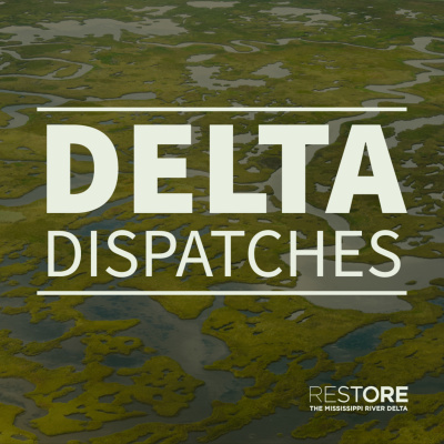 Delta Dispatches