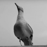 Episode 96: The Best of 2019