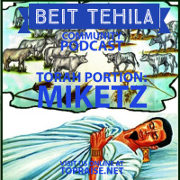 Ep. 13 - Torah Portion: Miketz - Pastor Nick Plummer and Ryan Cabrera