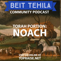 Ep. 61 - Torah Portion: Noach - Pastor Nick Plummer and Ryan Cabrera