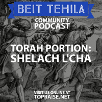 Ep 43. - Torah Portion: Shelach Lcha - Pastor Nick Plummer and Ryan Cabrera