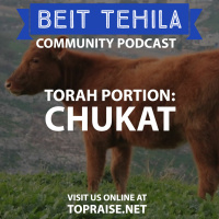 Ep. 103 - Torah Portion: Chukat - Pastor Nick Plummer and Ryan Cabrera
