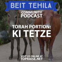 Ep. 54 - Torah Portion: KiTetze