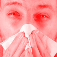 008 la gripe y el zika