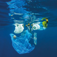 El mundo un basurero de plásticos