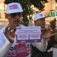 La Consulta ciudadana