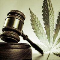 La legalización de la Mariguana