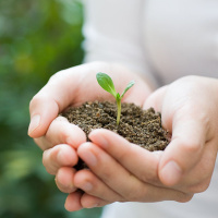 El medio ambiente y los océanos