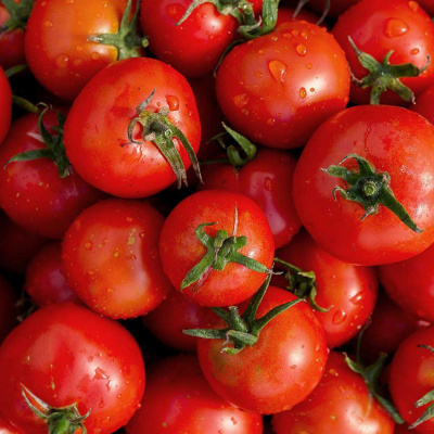 En Resumidas Cuentas