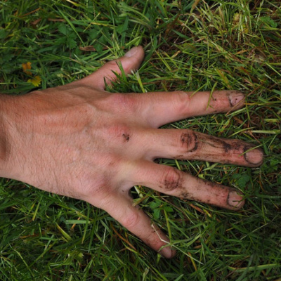 En Resumidas Cuentas