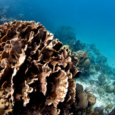 En Resumidas Cuentas