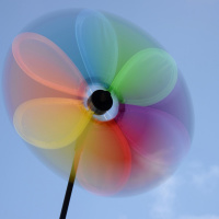 Alles dreht sich - im Kreis herum