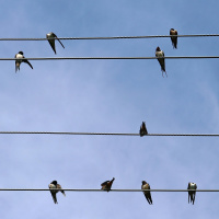 Die Wolkenpumpe - eine Clownsgeschichte mit Musik