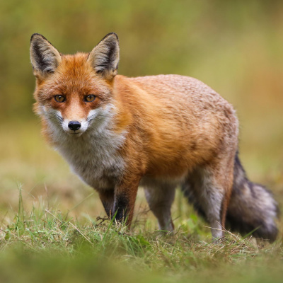 Do Re Mikro - Die Musiksendung Für Kinder