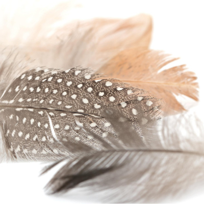 Do Re Mikro - Die Musiksendung Für Kinder