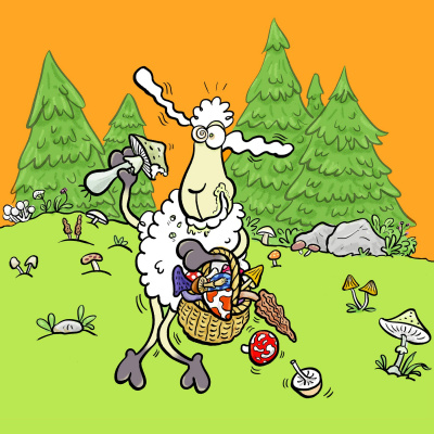 Do Re Mikro - Die Musiksendung Für Kinder