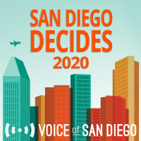 2020: All the Measures on Your Primary Ballot, Explained