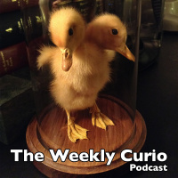The Weekly Curio – Episode 14