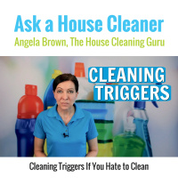 Cleaning Triggers if You Hate To Clean
