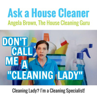Cleaning Lady? Im a Cleaning Specialist