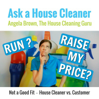 Not a Good Fit - House Cleaner vs. Customer