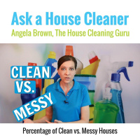 Percentage of Clean vs Messy Houses