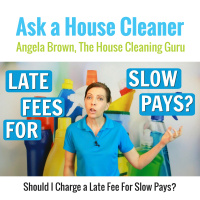 Late Fee for Slow Pays? House Cleaners Collecting Money