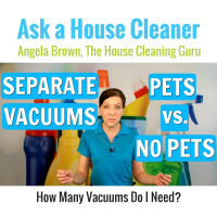 Separate Vacuums - Pets vs. No Pets?