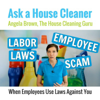 Labor Laws - House Cleaners Push Back