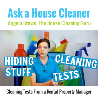 Cleaning Tests From a Rental Property Manager
