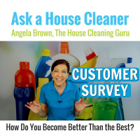 Customer Survey for House Cleaning Clients