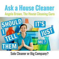 Growth Disclosure - Solo House Cleaner or Big Company?