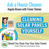 Should I Attempt to Clean My Own Solar Panels with Trevor Steiner