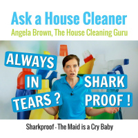 Shark Proof - Maid is a Cry Baby