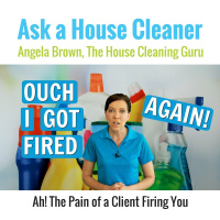 The Pain of a Client Firing You - House Cleaner Weeps