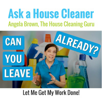 Can You Leave Already? Maids and House Cleaners Want to Work Alone