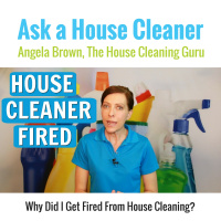 Why Did I Get Fired From House Cleaning?