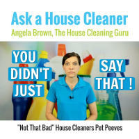 Not That Bad House Cleaners Pet Peeve