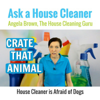 Crate That Animal Before House Cleaning