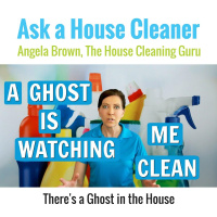 A Ghost in the House is Watching Me Clean