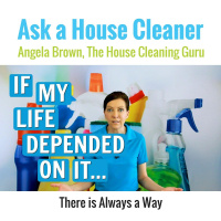 If My Life Depended On It... House Cleaners Resolve