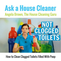 Clogged Toilet - How to Clean a Clogged Toilet Filled With Poop