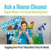 Haggling Over Price when bidding a House Cleaning Job