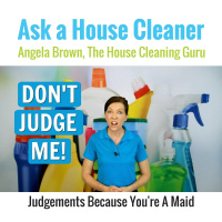 Judgments About House Cleaners