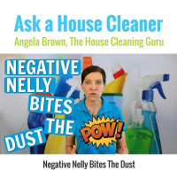 Negative Nelly Bites The Dust - House Cleaners with Bad Attitudes