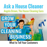 Expanding Your Cleaning Business Without Losing Customers