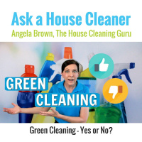 Green Cleaning - Yes or No? House Cleaning Trends for 2017