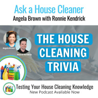 The Ultimate Housecleaning Quiz With Ronnie Kendrick